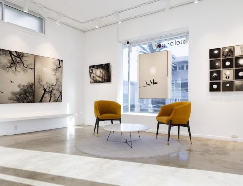 Exposición «De alquimia y poesía»